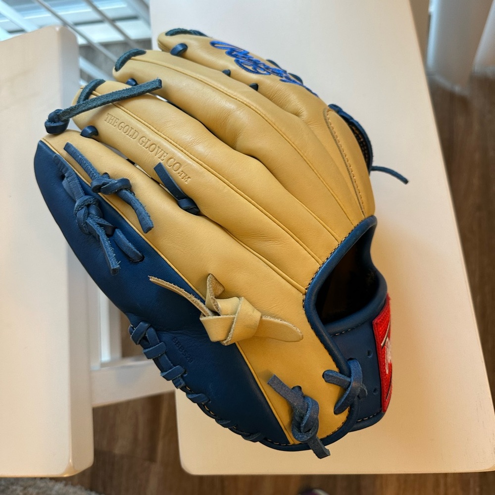 Rawlings GG Elite Baseball Glove